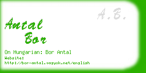 antal bor business card